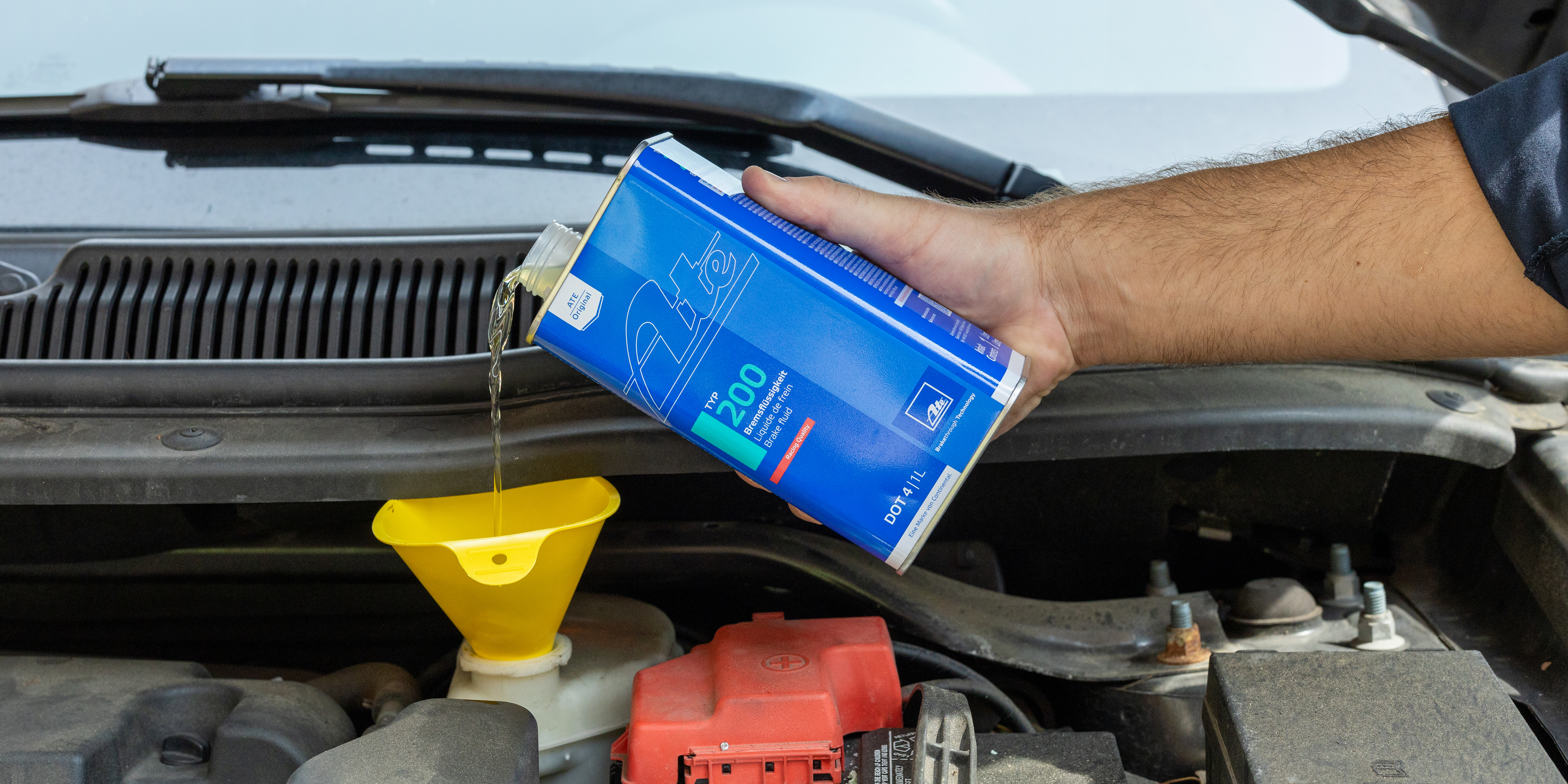 5L5A0153 Edited Extended CRPD